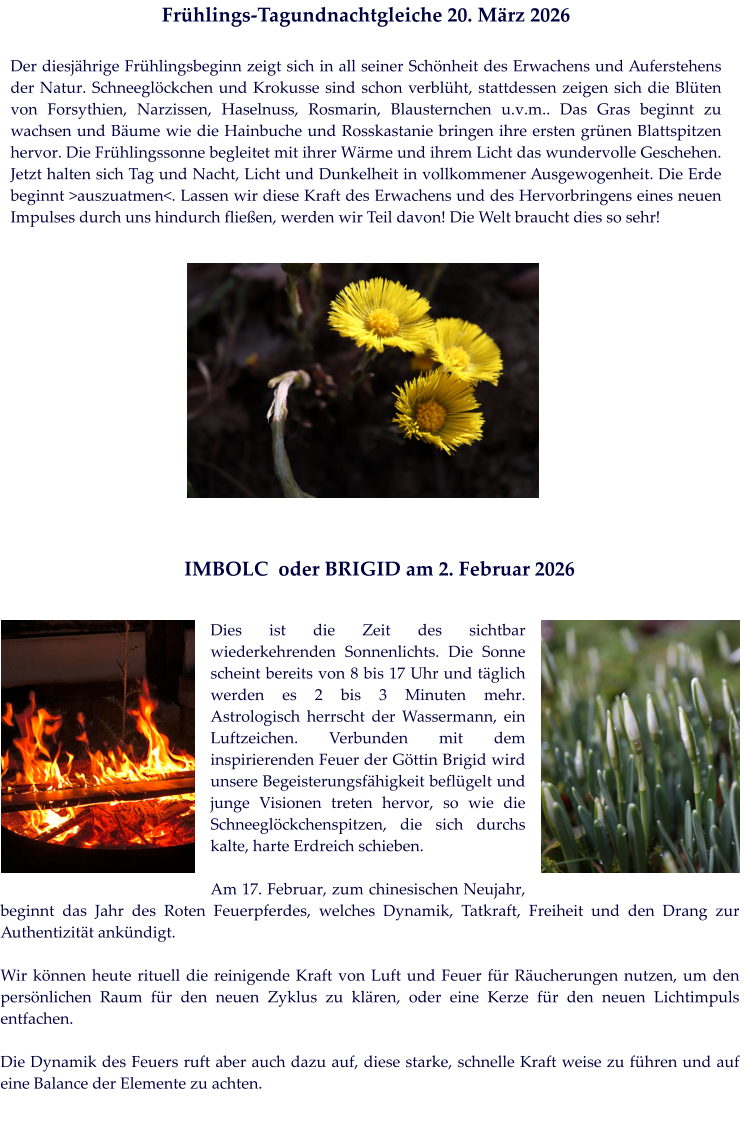 Dies ist die Zeit des sichtbar wiederkehrenden Sonnenlichts. Die Sonne scheint bereits von 8 bis 17 Uhr und täglich werden es 2 bis 3 Minuten mehr. Astrologisch herrscht der Wassermann, ein Luftzeichen. Verbunden mit dem inspirierenden Feuer der Göttin Brigid wird unsere Begeisterungsfähigkeit beflügelt und junge Visionen treten hervor, so wie die Schneeglöckchenspitzen, die sich durchs kalte, harte Erdreich schieben.   Am 17. Februar, zum chinesischen Neujahr, beginnt das Jahr des Roten Feuerpferdes, welches Dynamik, Tatkraft, Freiheit und den Drang zur Authentizität ankündigt.   Wir können heute rituell die reinigende Kraft von Luft und Feuer für Räucherungen nutzen, um den persönlichen Raum für den neuen Zyklus zu klären, oder eine Kerze für den neuen Lichtimpuls entfachen.  Die Dynamik des Feuers ruft aber auch dazu auf, diese starke, schnelle Kraft weise zu führen und auf eine Balance der Elemente zu achten.      IMBOLC  oder BRIGID am 2. Februar 2026 Frühlings-Tagundnachtgleiche 20. März 2026  Der diesjährige Frühlingsbeginn zeigt sich in all seiner Schönheit des Erwachens und Auferstehens der Natur. Schneeglöckchen und Krokusse sind schon verblüht, stattdessen zeigen sich die Blüten von Forsythien, Narzissen, Haselnuss, Rosmarin, Blausternchen u.v.m.. Das Gras beginnt zu wachsen und Bäume wie die Hainbuche und Rosskastanie bringen ihre ersten grünen Blattspitzen hervor. Die Frühlingssonne begleitet mit ihrer Wärme und ihrem Licht das wundervolle Geschehen. Jetzt halten sich Tag und Nacht, Licht und Dunkelheit in vollkommener Ausgewogenheit. Die Erde beginnt >auszuatmen<. Lassen wir diese Kraft des Erwachens und des Hervorbringens eines neuen Impulses durch uns hindurch fließen, werden wir Teil davon! Die Welt braucht dies so sehr!